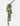 Plante artificelle