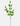 Plante artificielle