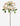 Dogwood Stem