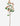 Thistle Stem