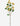 Thistle Stem