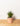 Artificial Plant in a Striped Pot