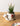Snail Potted Artificial Plant