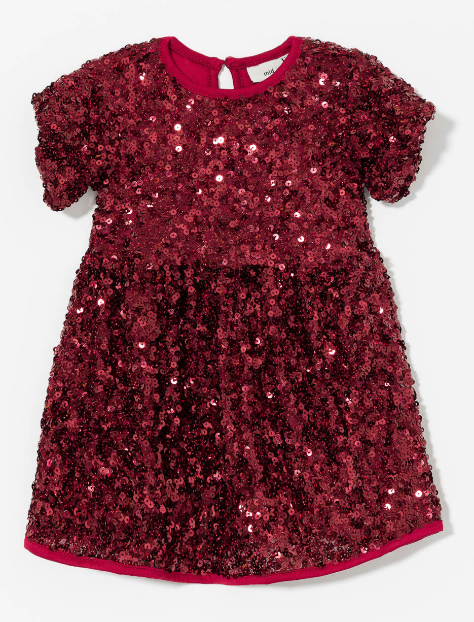 Sequin Fitted Waist Dress