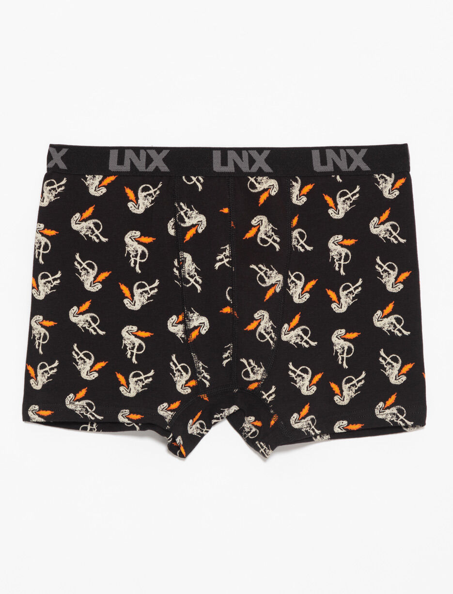 Printed Boxers