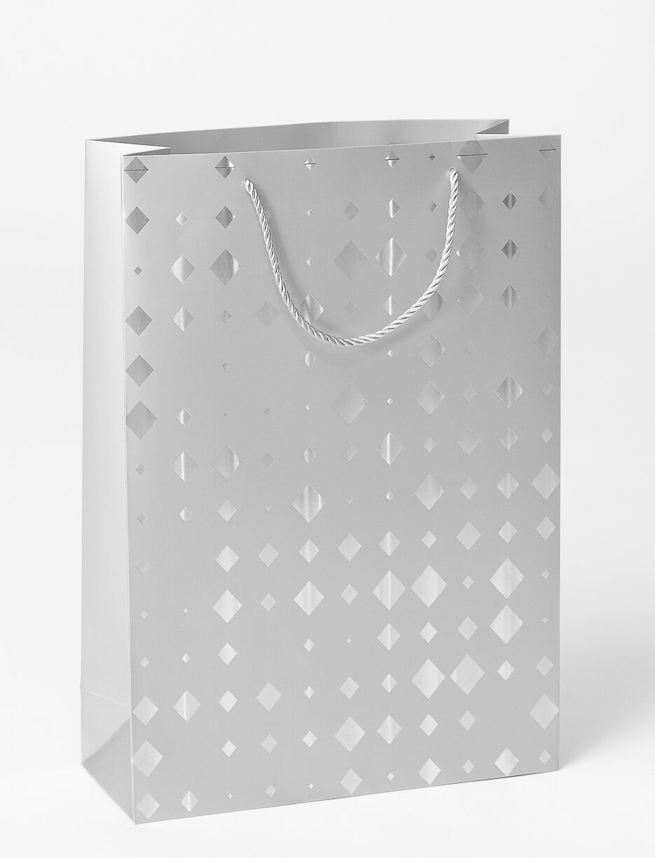 Printed Gift Bag