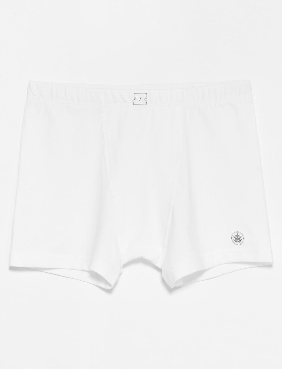 Organic Cotton Boxers