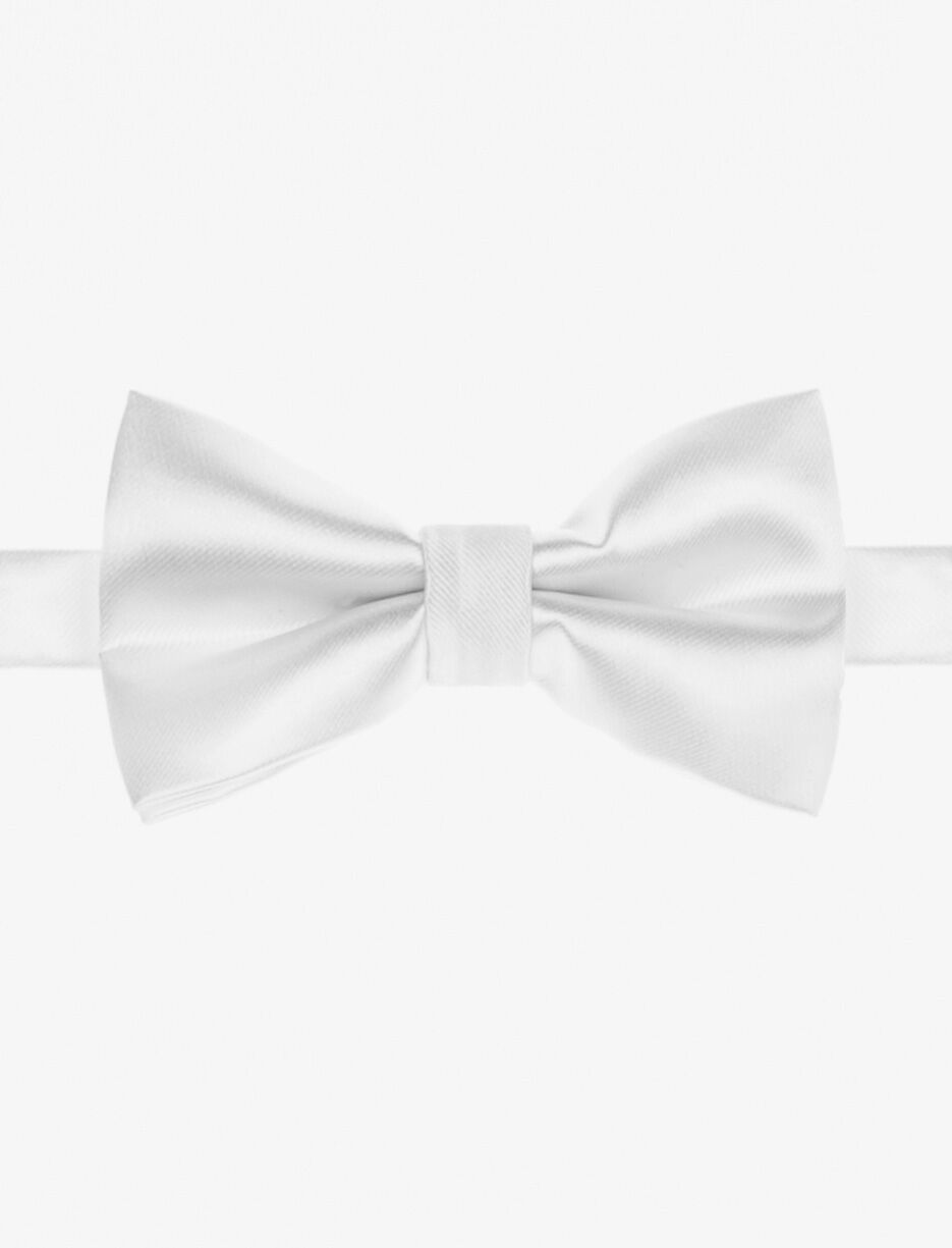 Silky Bow Tie