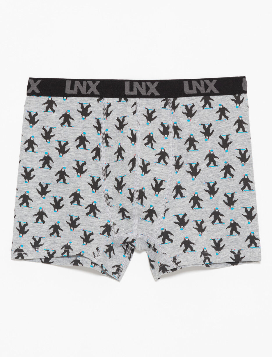 Printed Boxers