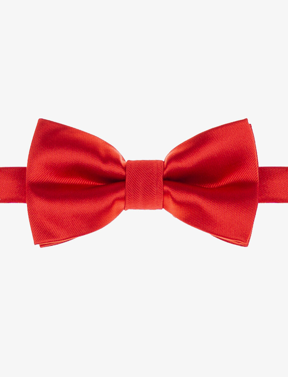Silky Bow Tie
