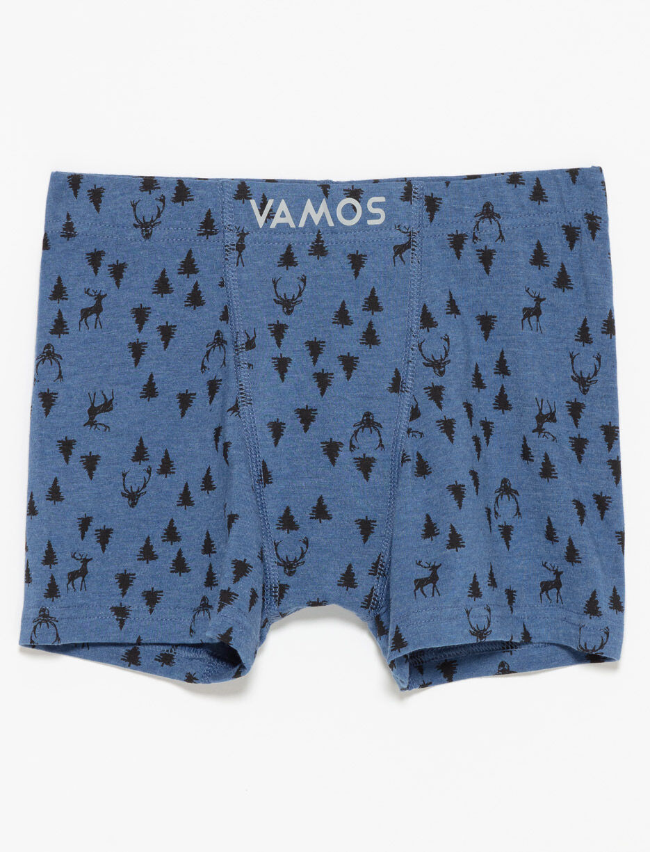 Boxeur à motifs en coton bio