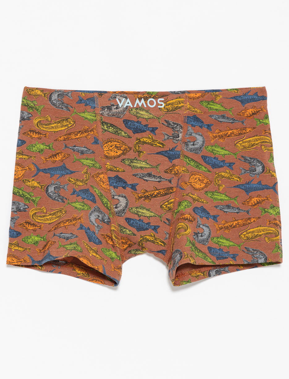 Organic Cotton Printed Boxers