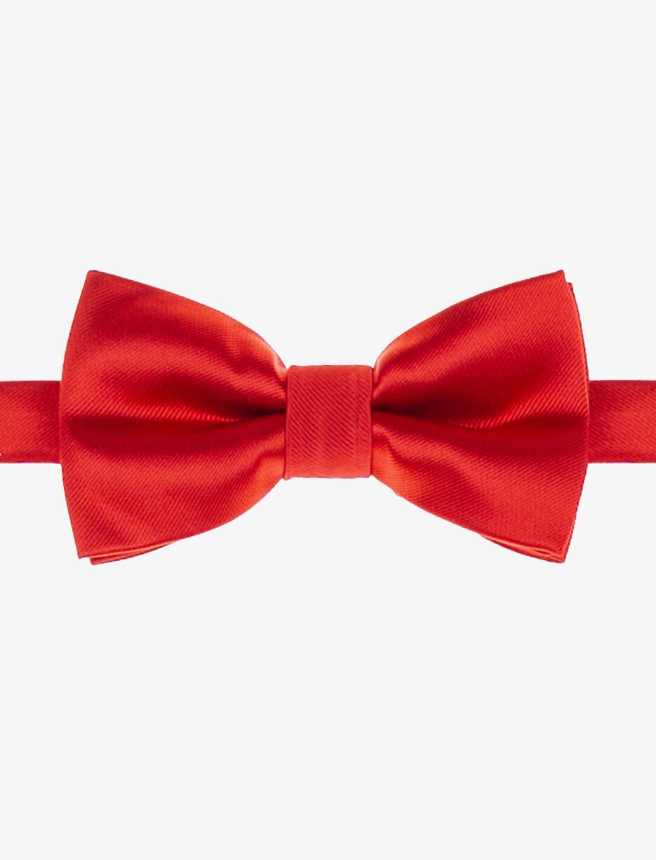 Silky Bow Tie