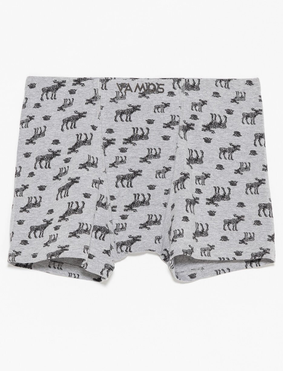Organic Cotton Printed Boxers
