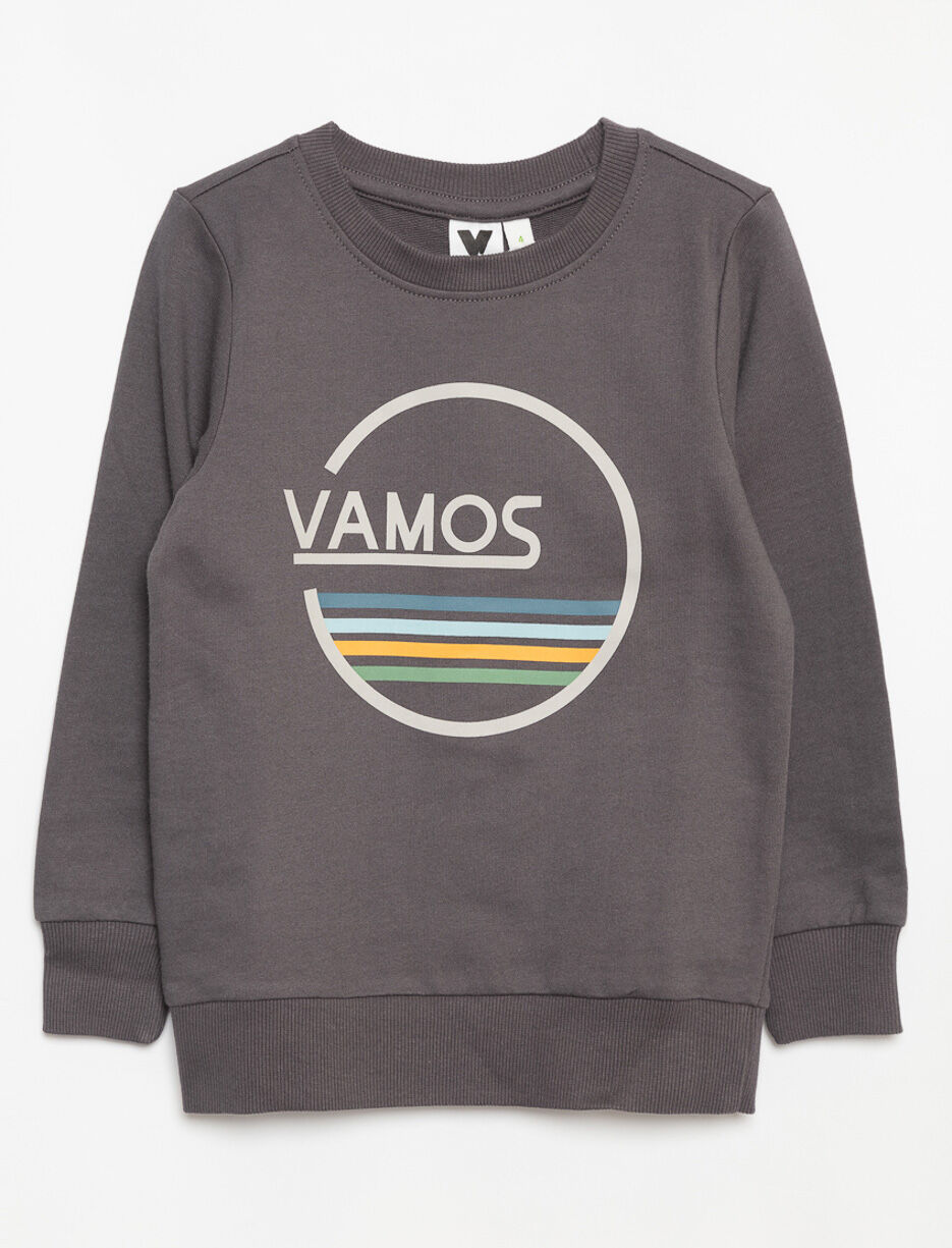 Organic Cotton Printed Sweatshirt - Little Boy