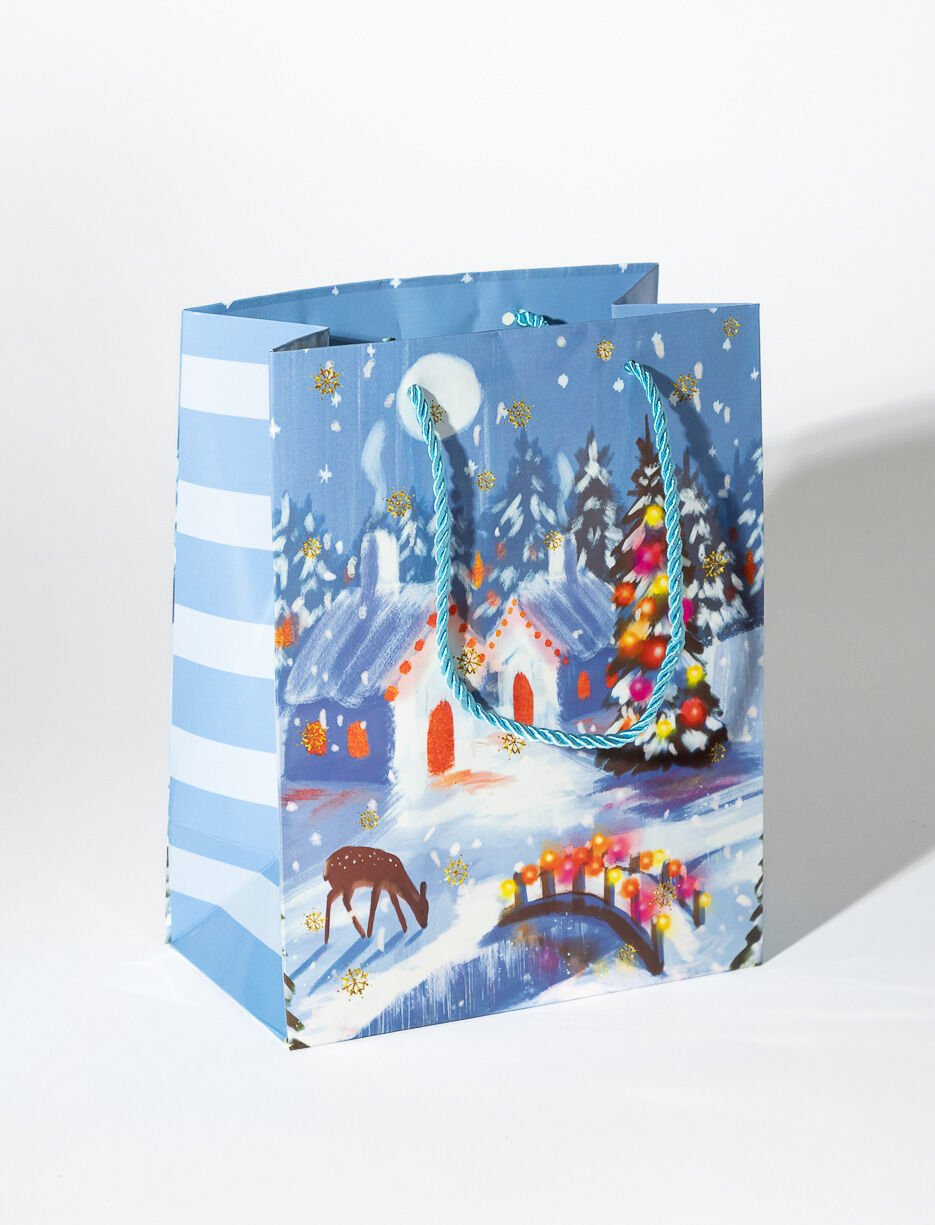 Sac cadeau No&euml;l petit