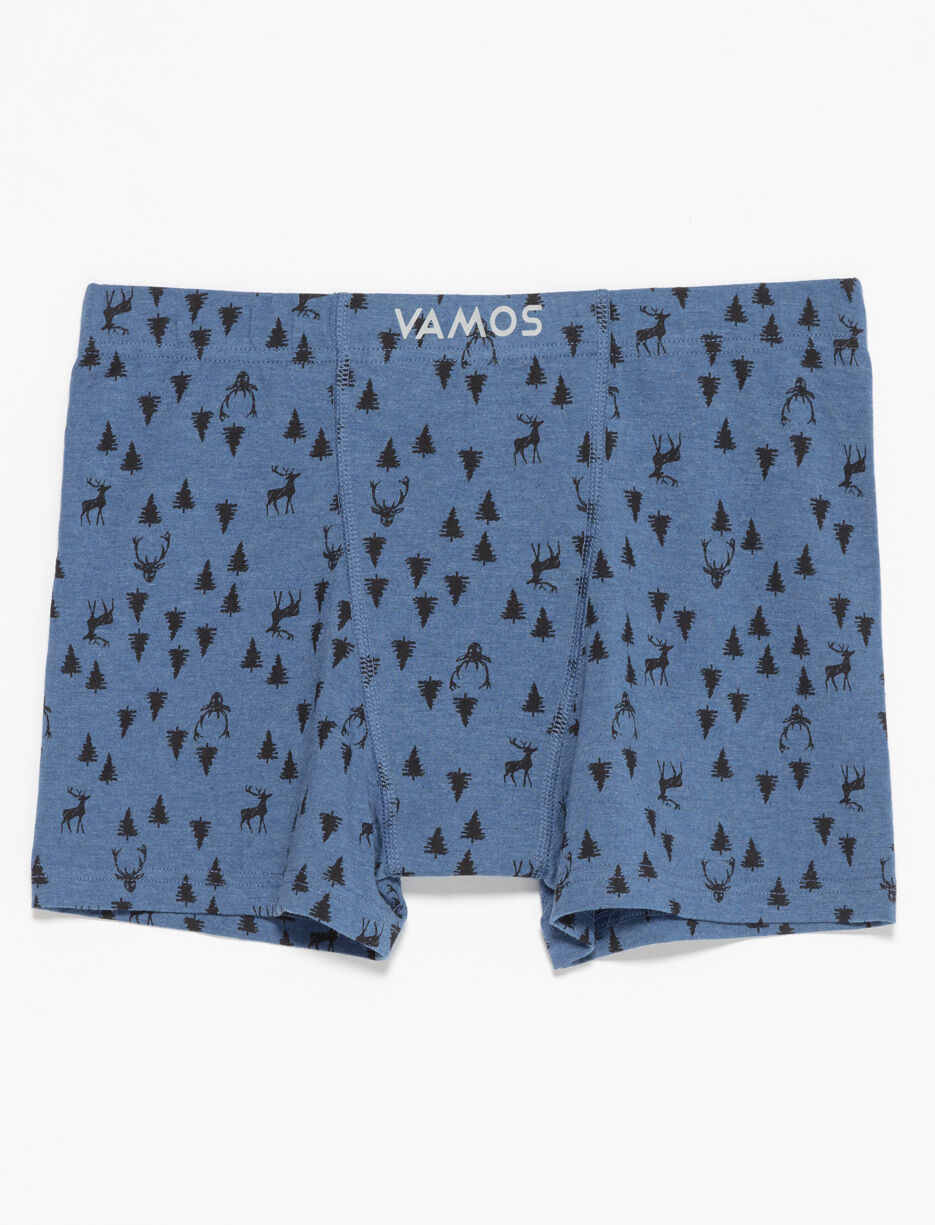 Boxeur à motifs en coton bio