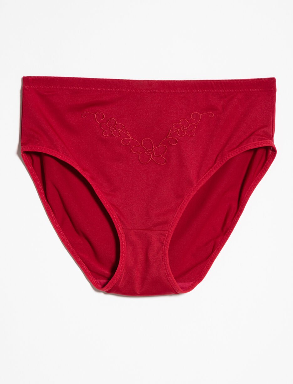 Hipster Panty with Embroidery