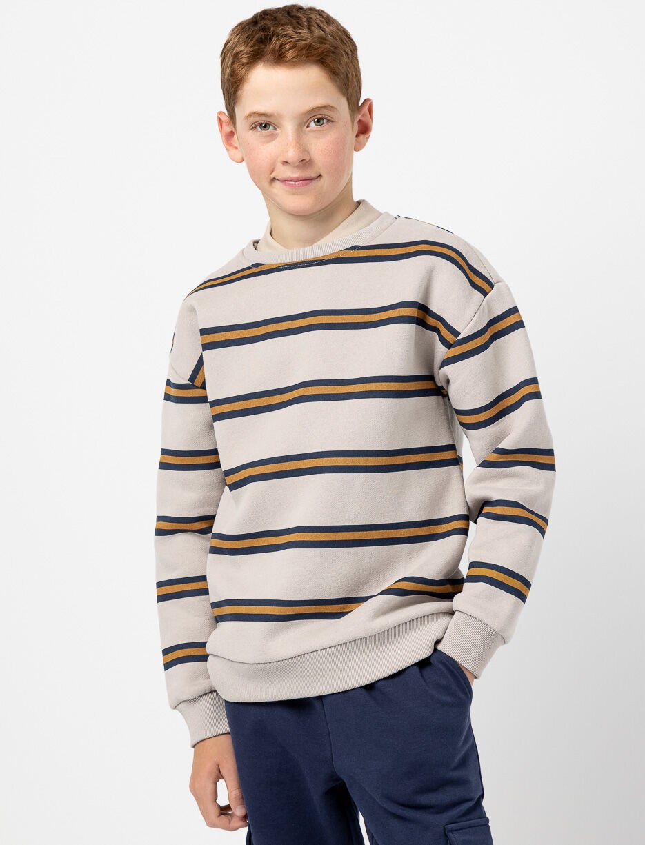 Striped Crew-neck Fleece Sweater