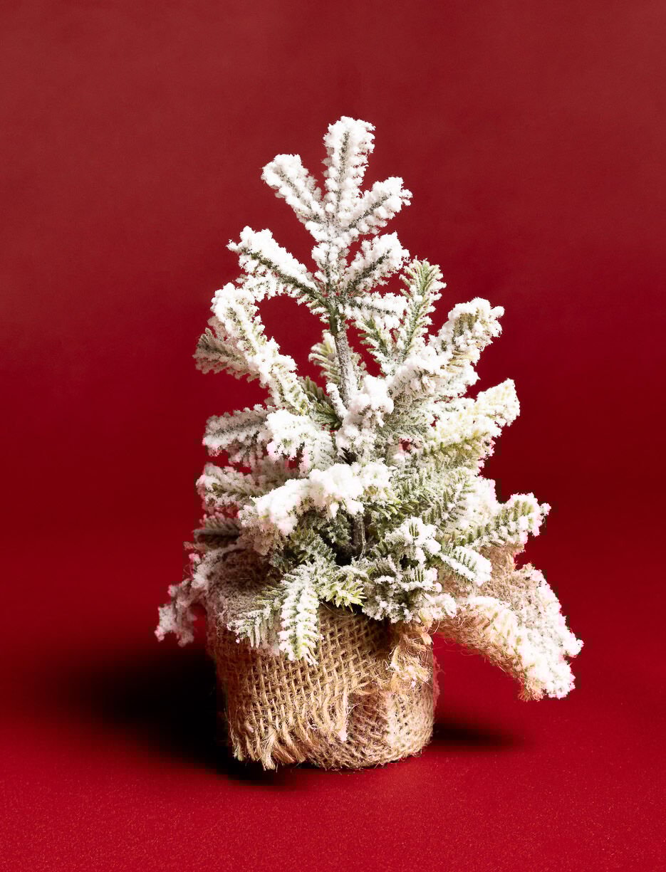 Sapin avec base en jute