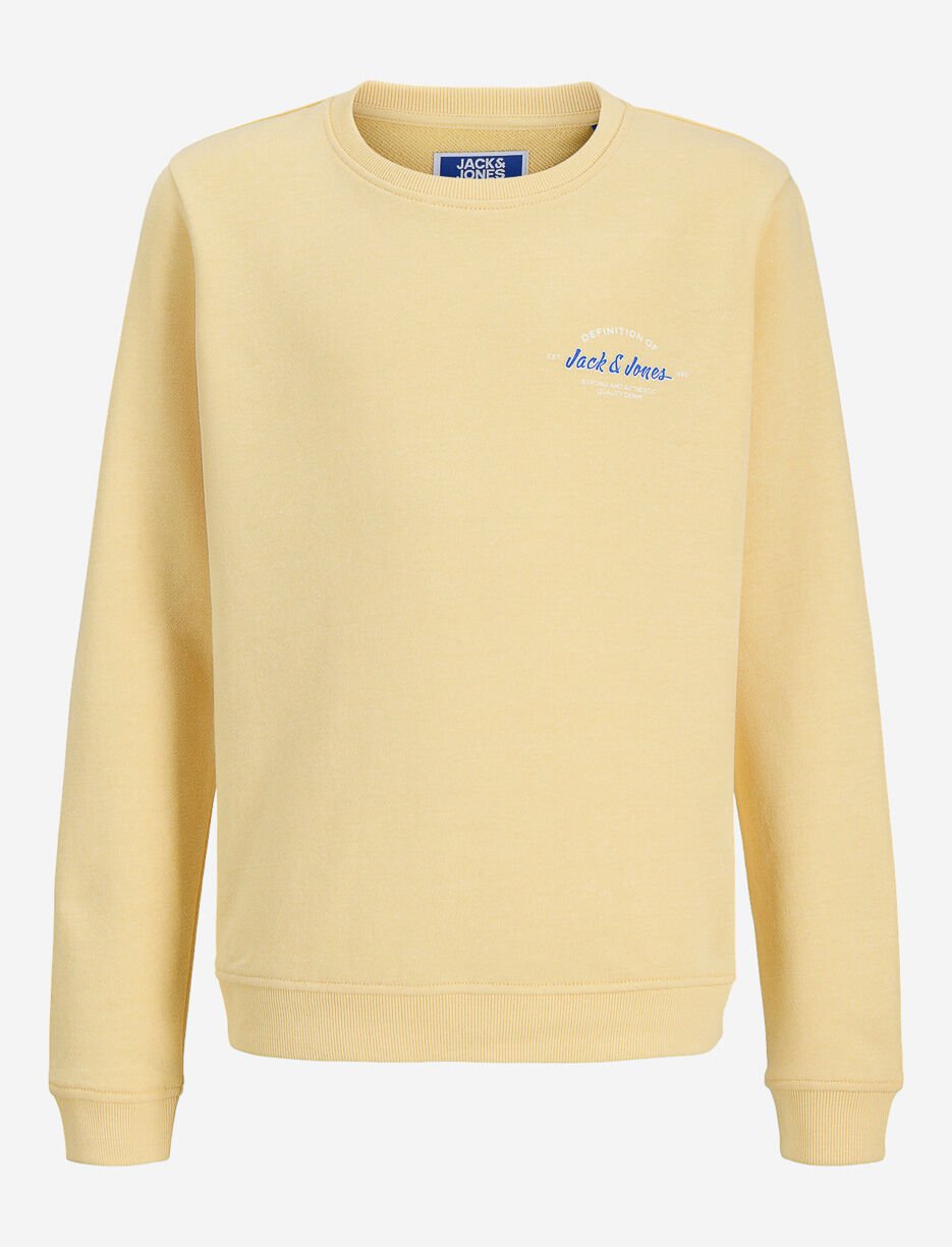 Printed Crew-neck Sweatshirt