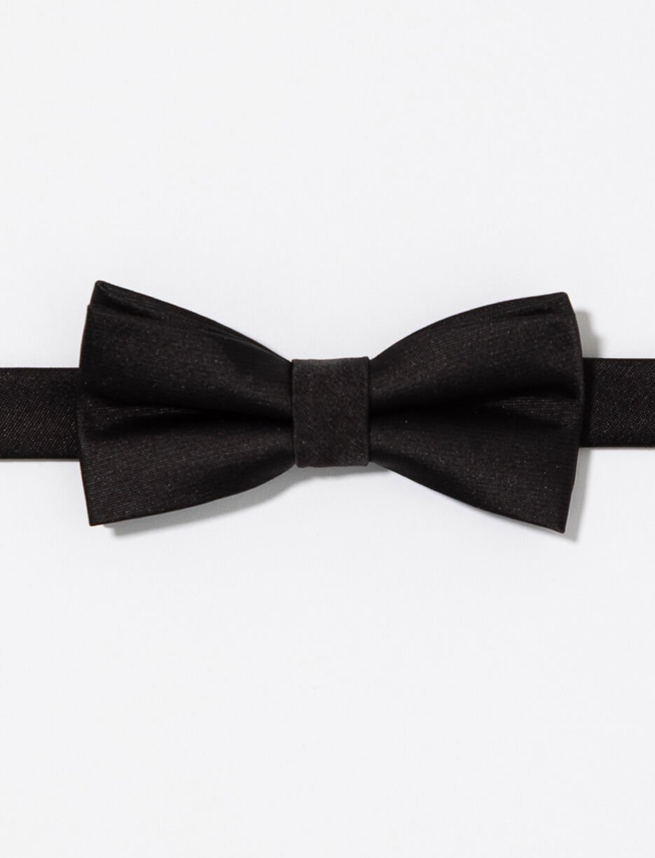 Satiny Bow Tie