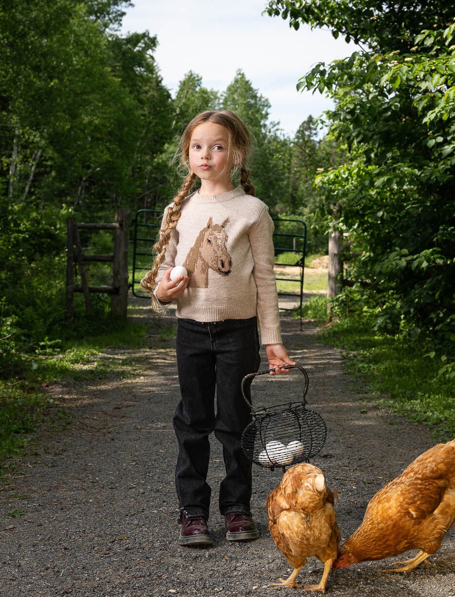 Horse Print Knit Sweater - Little Girl