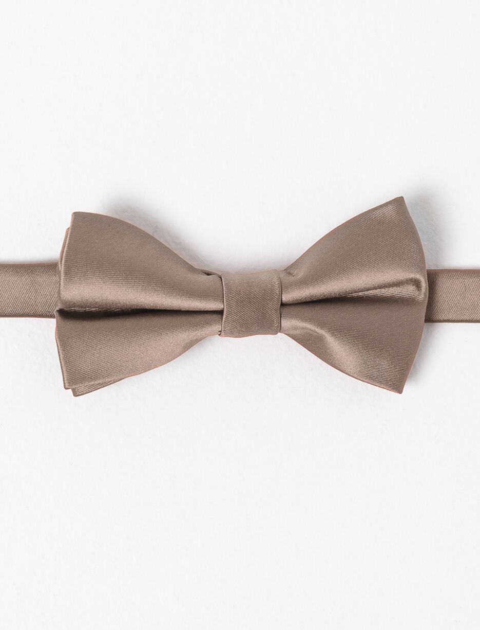 Satiny Bow Tie