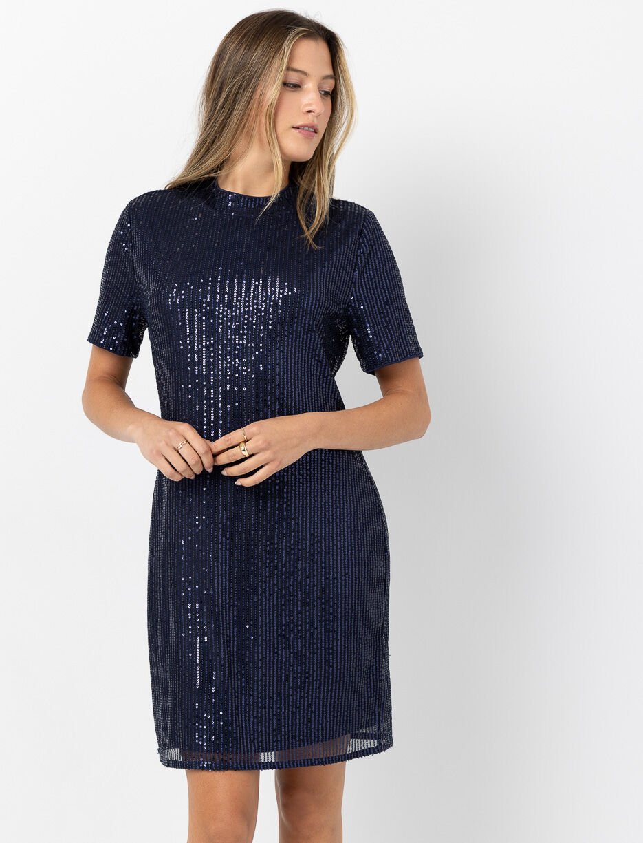 Robe ajustée en mesh à paillettes Robe ajustée en mesh à paillettes
