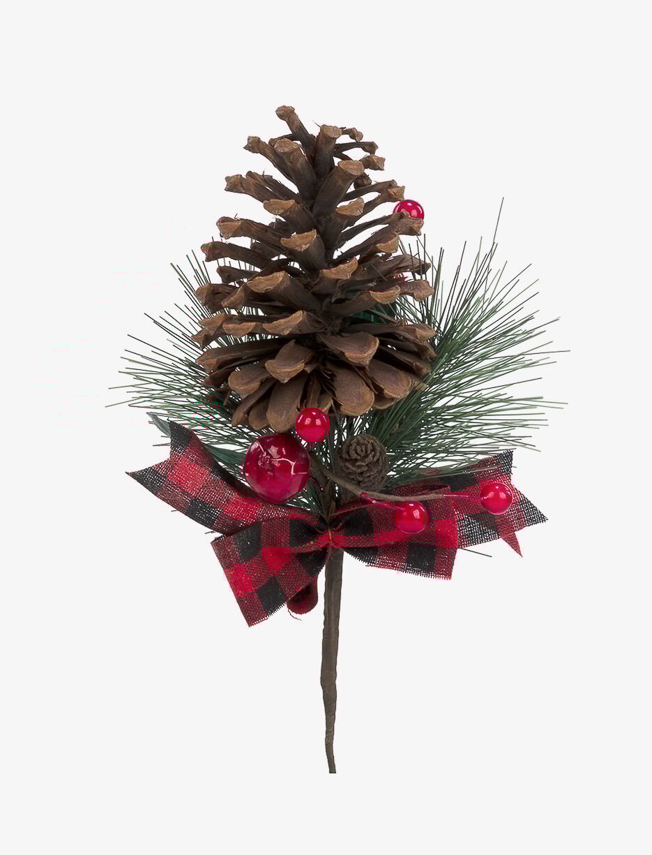 Branche avec pomme de pin