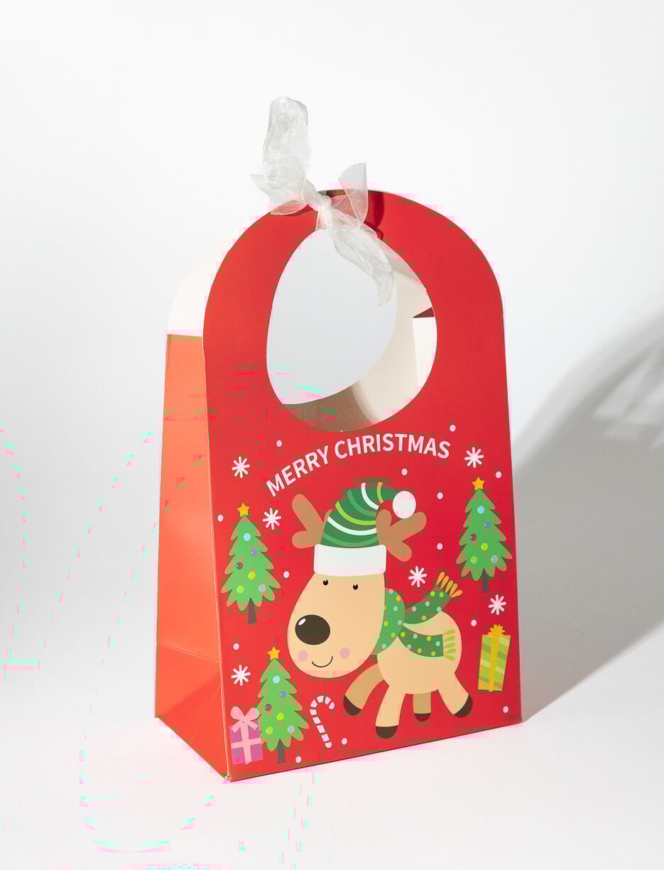 Small Christmas Gift bag