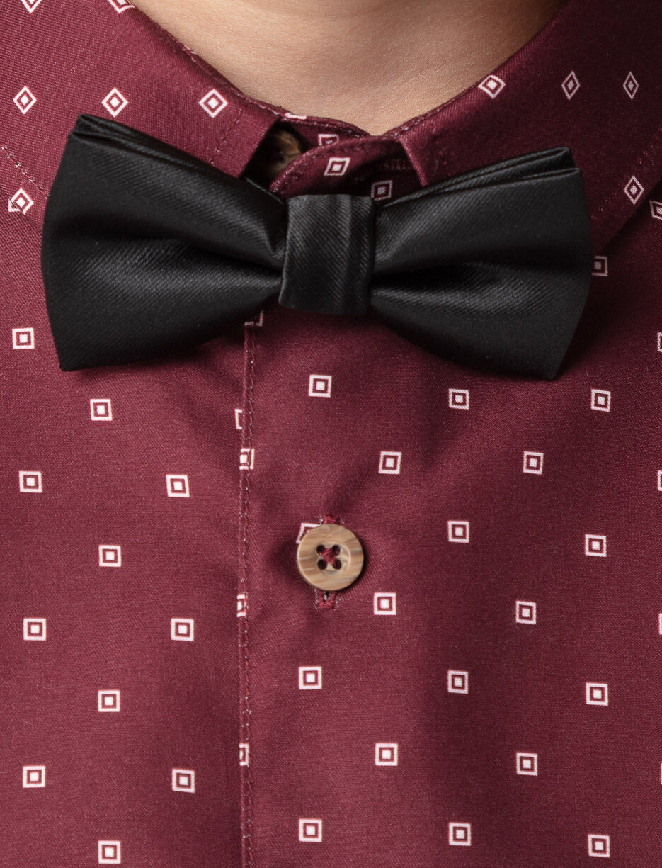 Silky Bow Tie