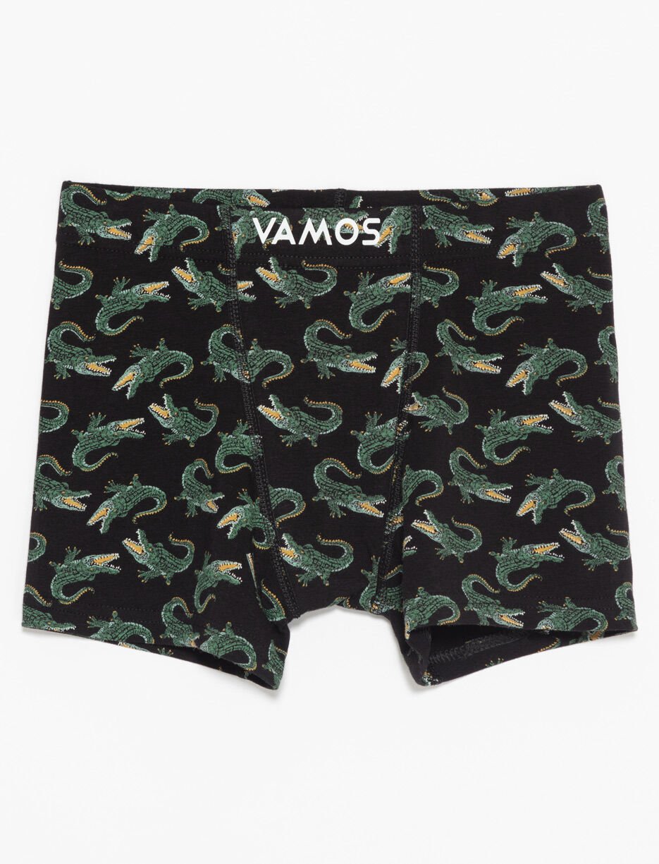 Organic Cotton Printed Boxers