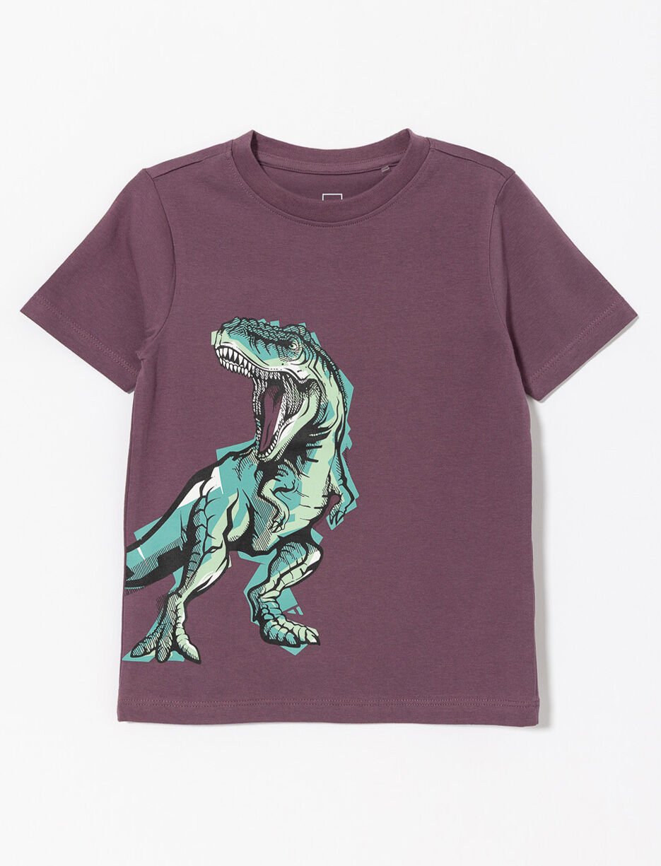 Printed Crew-neck T-shirt - Baby Boy