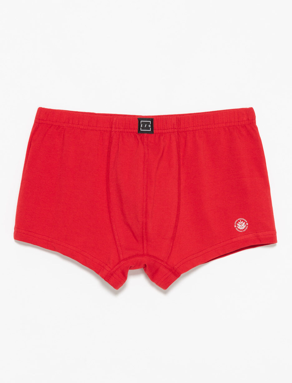 Organic Cotton Boxer Shorts