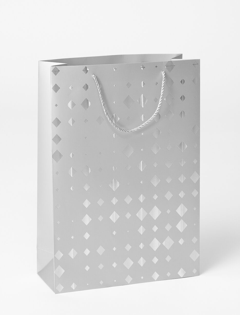 Printed Gift Bag