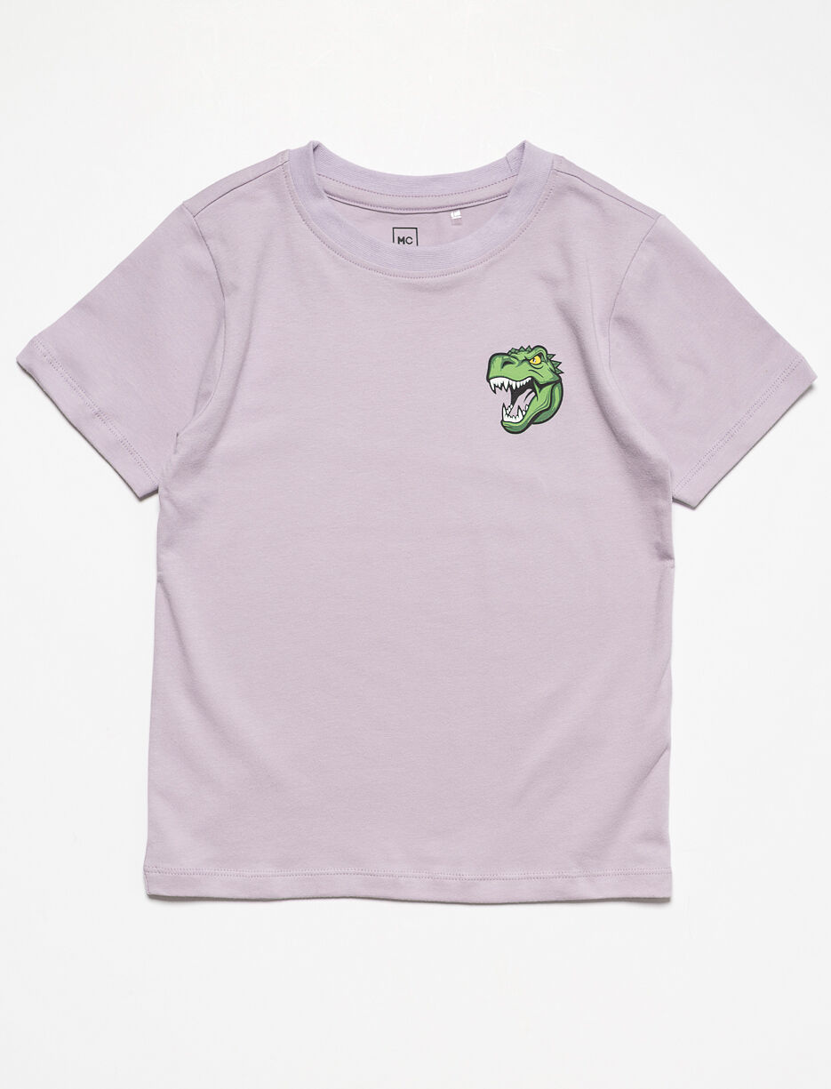 Graphic Short-sleeve T-shirt