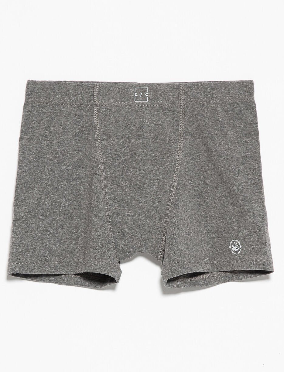 Organic Cotton Boxers