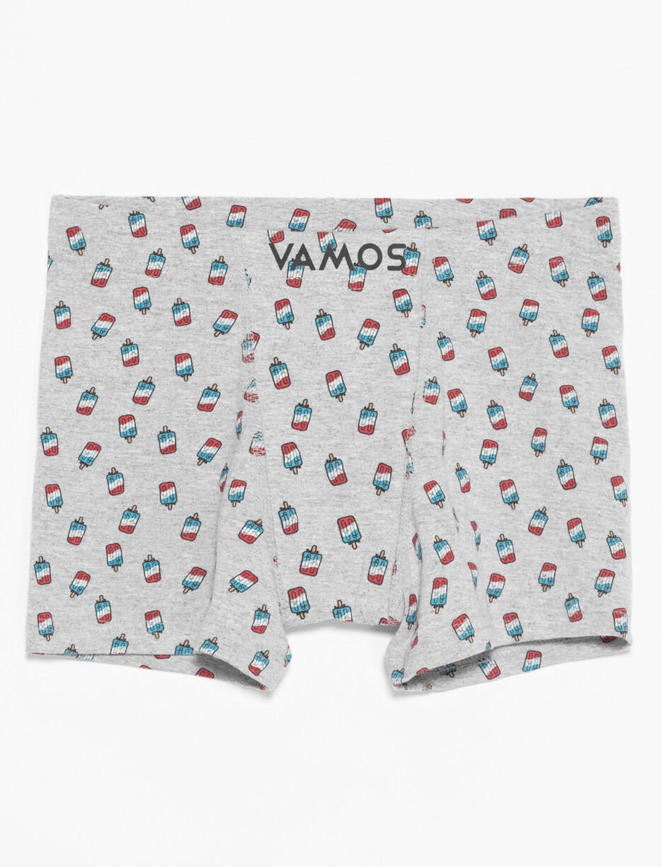 Boxeur à motifs en coton bio